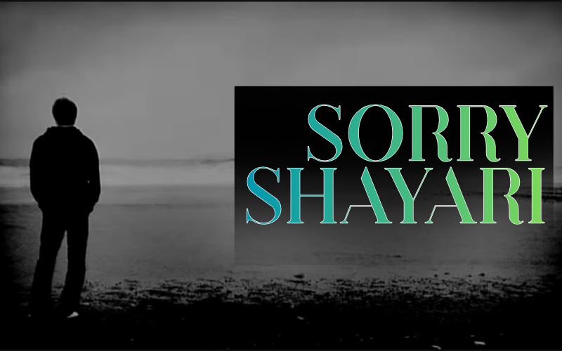 Sorry Shayari