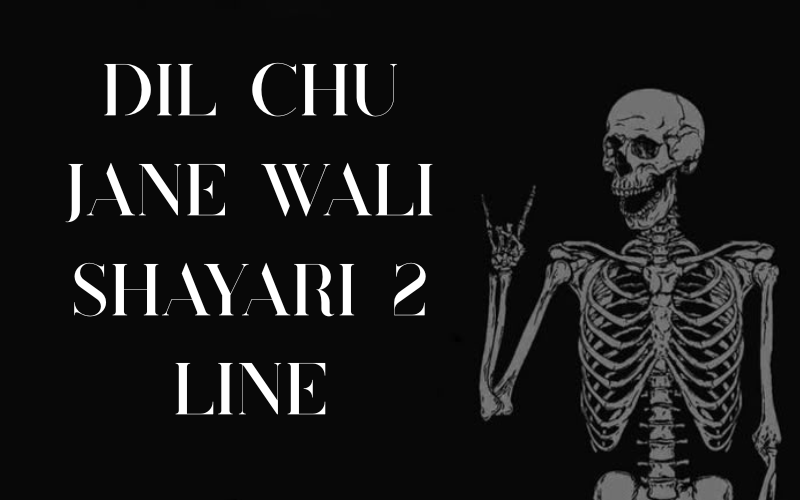 Dil chu jane wali shayari 2 line